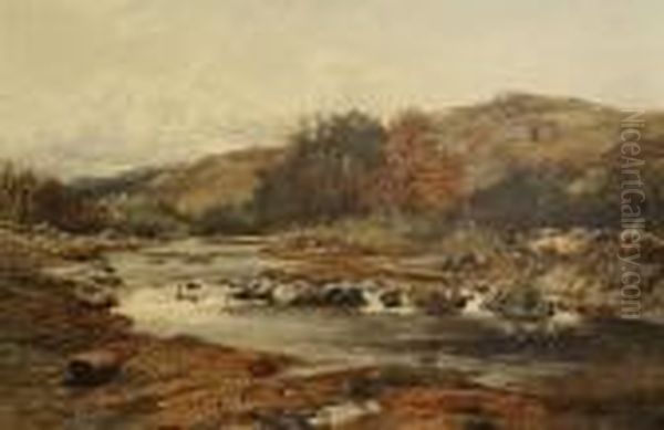 Sketch On Wye Near Builth Oil Painting by David Bates