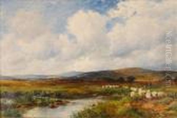 At Arthog, Nearbarmouth Oil Painting by David Bates