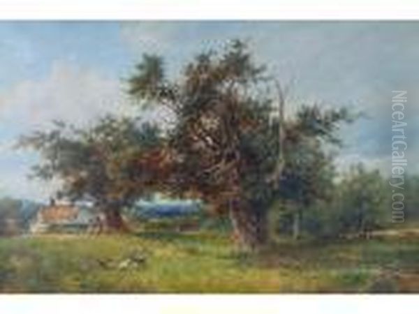 'yews At Cradley Oil Painting by David Bates