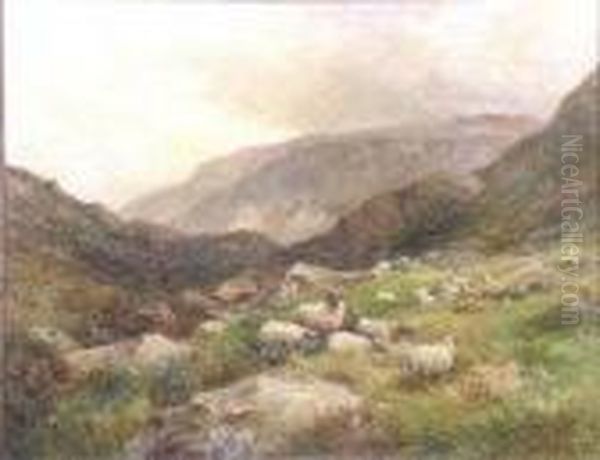 Highland Sheep Oil Painting by David Bates