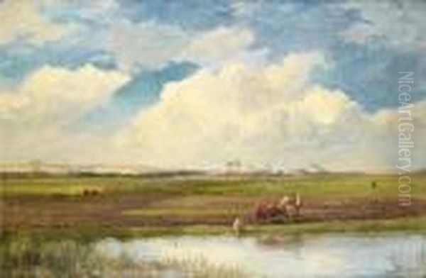 Camel And Cattle In Field Oil Painting by David Bates