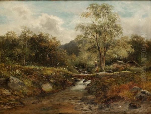 Brook At Capel Curin Oil Painting by David Bates