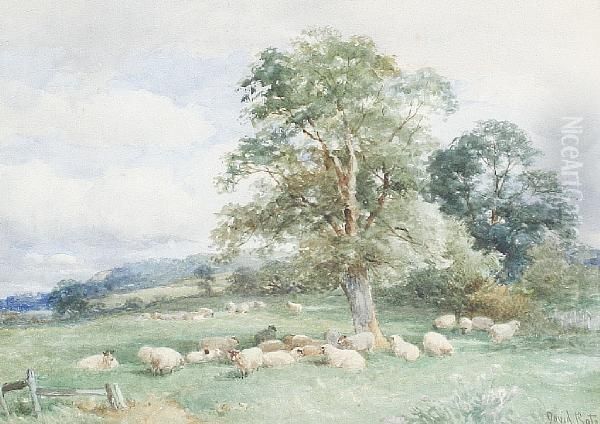 A Summer Afternoon, Leckhampton Oil Painting by David Bates