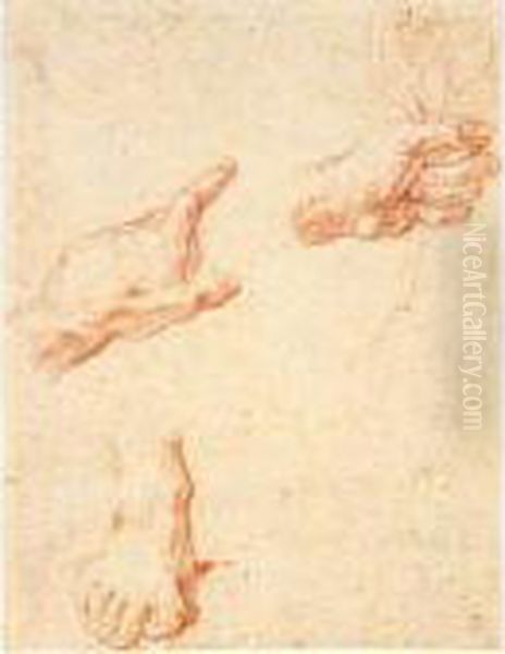 A Sheet Of Studies Of Two Left Hands And A Right Foot Oil Painting by Pompeo Gerolamo Batoni