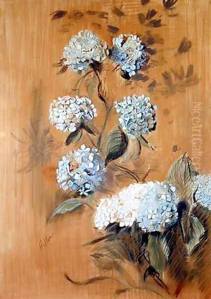 Hydrangeas Oil Painting by Paul Cesar Helleu