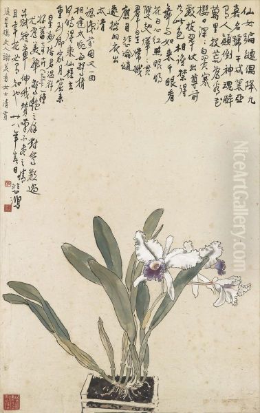 Cattleya Oil Painting by Xu Beihong