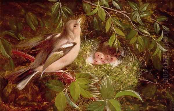 A Chaffinch at its Nest Oil Painting by William Hughes