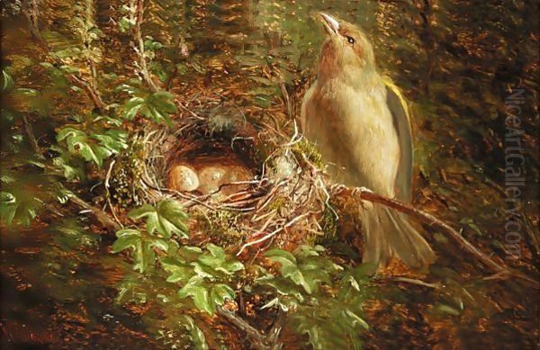 A Greenfinch at its Nest Oil Painting by William Hughes