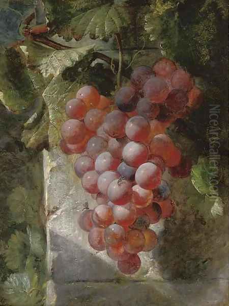 Grapes on the vine Oil Painting by William Hughes