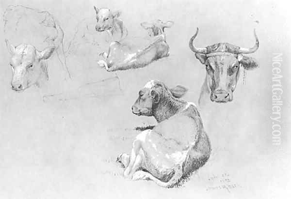 Studies of Cows and Calves Oil Painting by James McDougal Hart