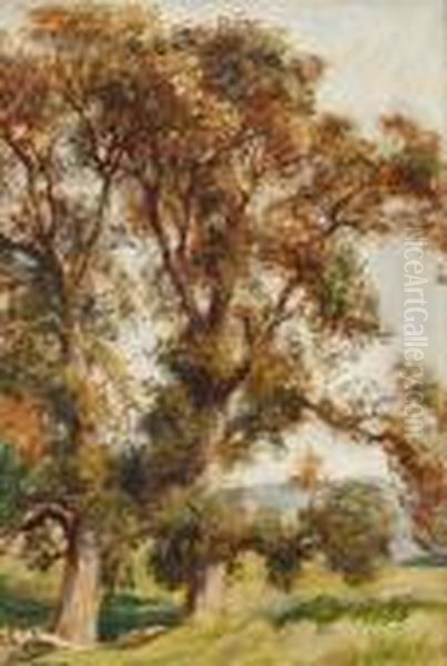 Landscape With Trees Oil Painting by Frank Moss Bennett