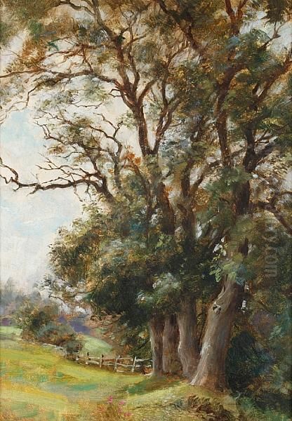 Edge Of A Meadow Oil Painting by Frank Moss Bennett