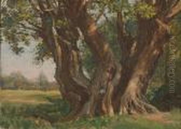 The Great Oak In Neadham Churchyard Oil Painting by Frank Moss Bennett