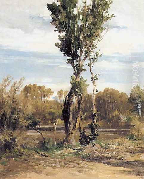 El lago de la casa campo Oil Painting by Carlos de Haes