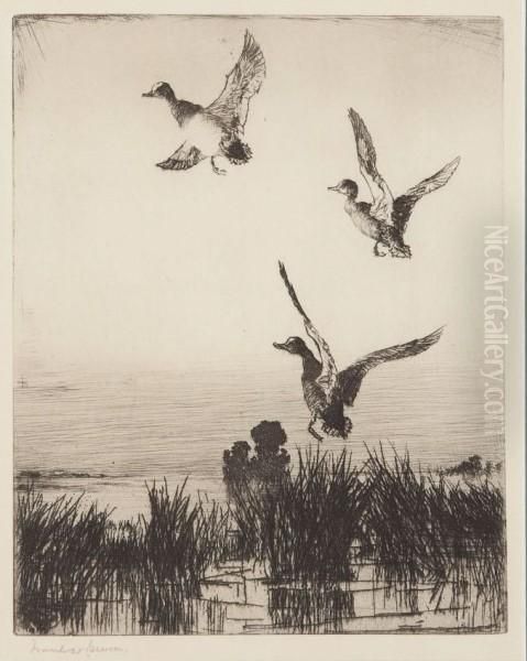 Towering Widgeon by Frank Weston Benson