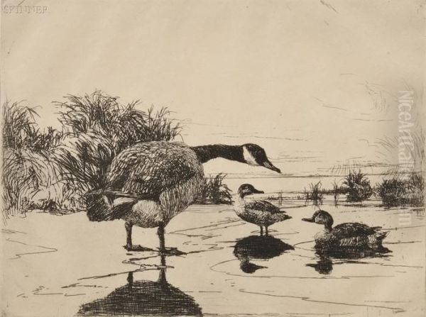 Goose And Teal Oil Painting by Frank Weston Benson