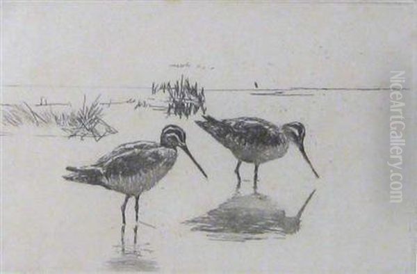 Pair Of Snipe Oil Painting by Frank Weston Benson