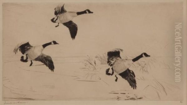 Three Geese Oil Painting by Frank Weston Benson