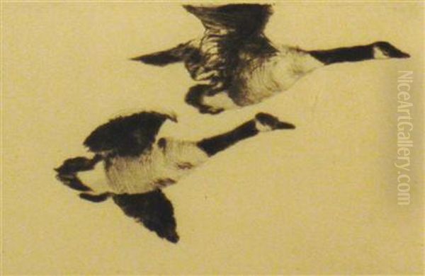 Study Of Geese Oil Painting by Frank Weston Benson