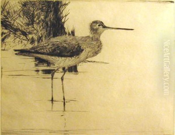 Lone Yellowlegs Oil Painting by Frank Weston Benson