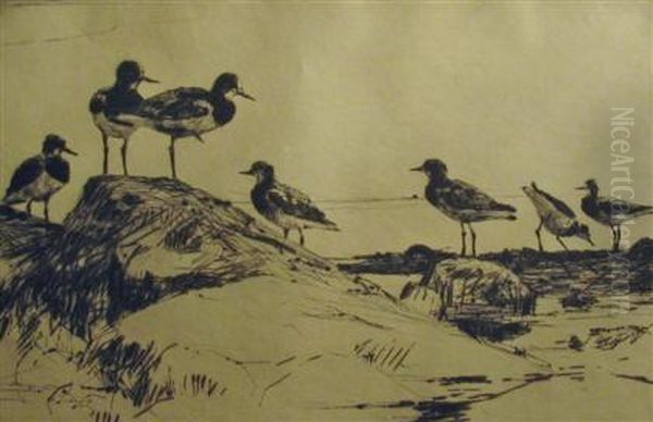 Turnstones Oil Painting by Frank Weston Benson