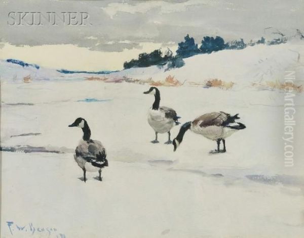 Canada Geese In The Snow Oil Painting by Frank Weston Benson