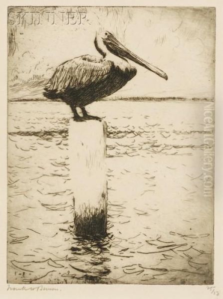 Brown Pelican Oil Painting by Frank Weston Benson