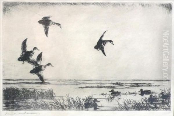 In Flight Oil Painting by Frank Weston Benson