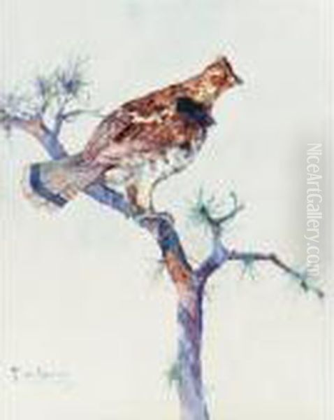 Grouse On A Pine Bough by Frank Weston Benson