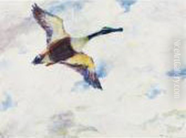 Shoveller Drake In Flight Oil Painting by Frank Weston Benson