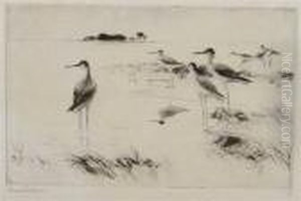 Winter Yellowlegs Oil Painting by Frank Weston Benson