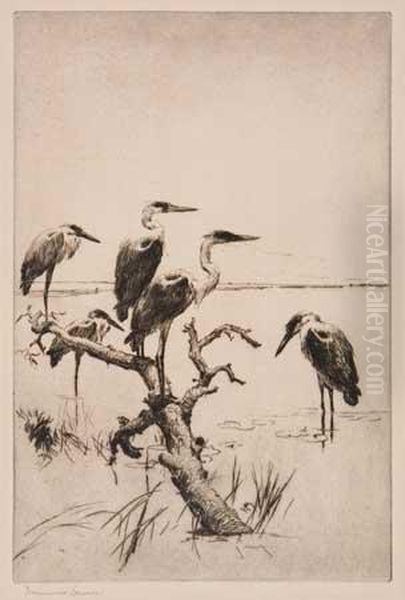 Herons At Rest Oil Painting by Frank Weston Benson