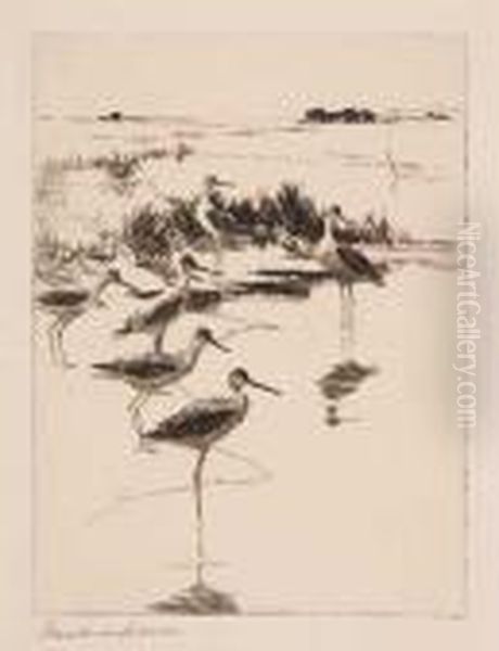 Yellowlegs No. 3 by Frank Weston Benson