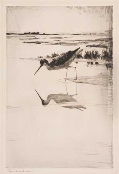 Lone Yellowlegs by Frank Weston Benson