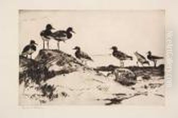 Turnstones Oil Painting by Frank Weston Benson