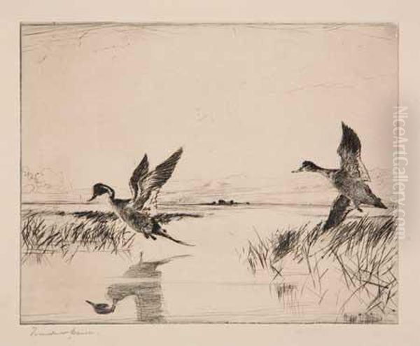 Pair Of Pintails Oil Painting by Frank Weston Benson