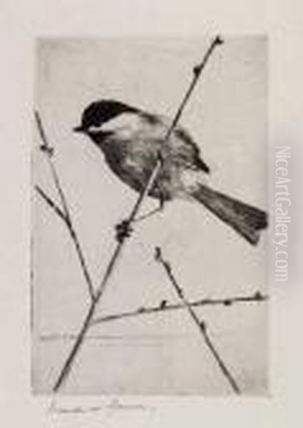 Chickadee Oil Painting by Frank Weston Benson