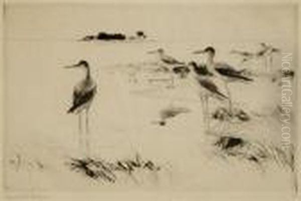 Winter Yellowlegs Oil Painting by Frank Weston Benson