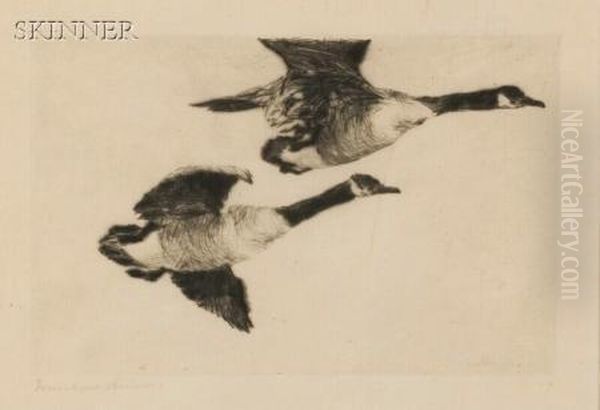 Study Of Geese Oil Painting by Frank Weston Benson