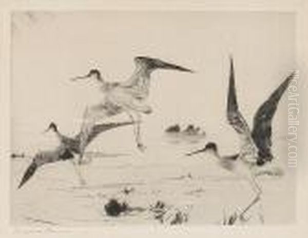 Three Yellowlegs Oil Painting by Frank Weston Benson