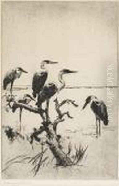 Herons At Rest Oil Painting by Frank Weston Benson