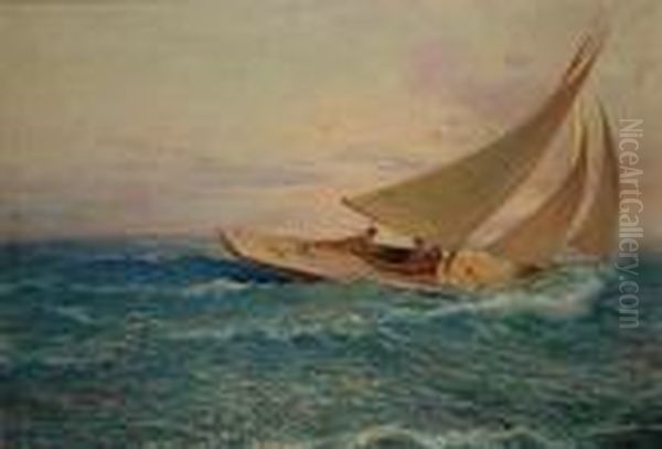 Regata Oil Painting by Cesare Bentivoglio