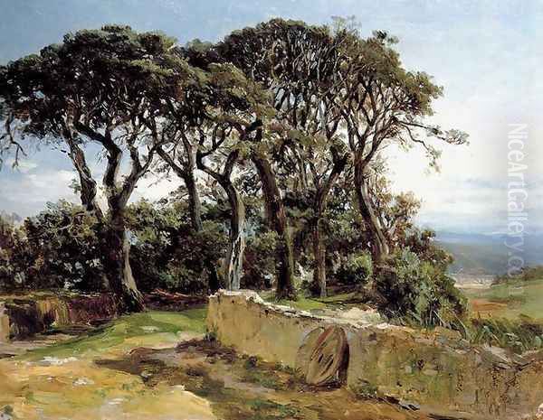 Pinares de San Vicente de la Barquera Oil Painting by Carlos de Haes