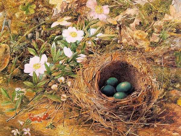 Bird's Nest and Dogroses 1867 by John William Hill