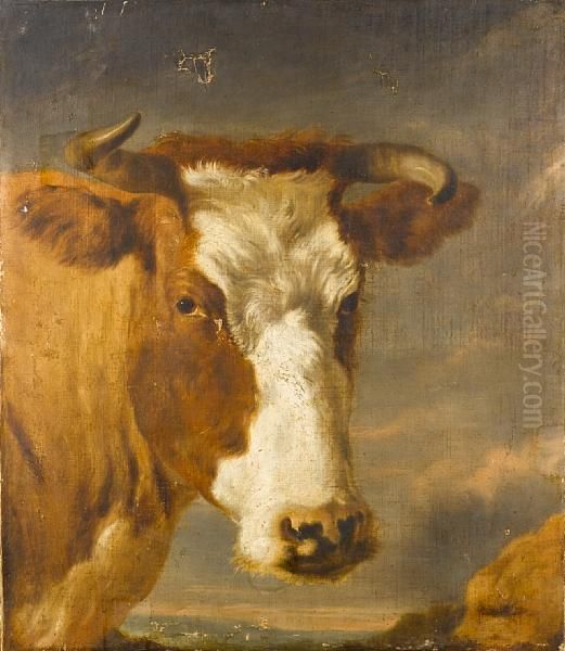 The Head Of A Bull 
Bears Signature 'berchem' Oil Painting by Nicolaes Berchem