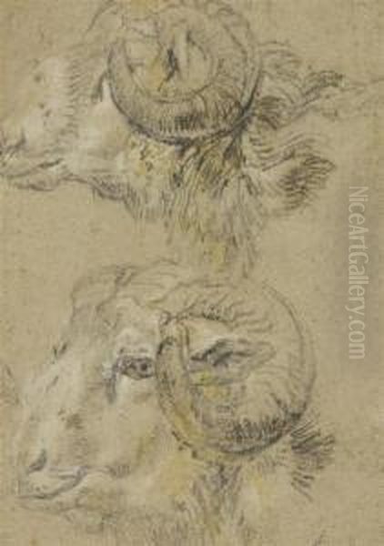 Study Of Two Rams' Heads Oil Painting by Nicolaes Berchem