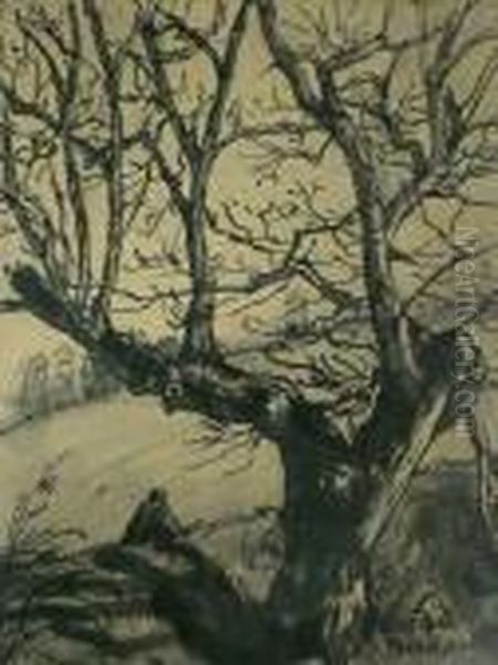 Le Vieil Arbre Oil Painting by Emile Bernard