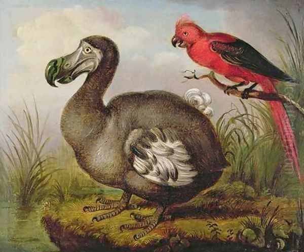 Dodo and Red Parakeet Oil Painting by William Hodges