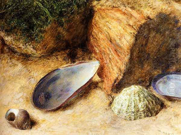 Still Life With Sea Shells On A Mossy Bank Oil Painting by William Henry Hunt