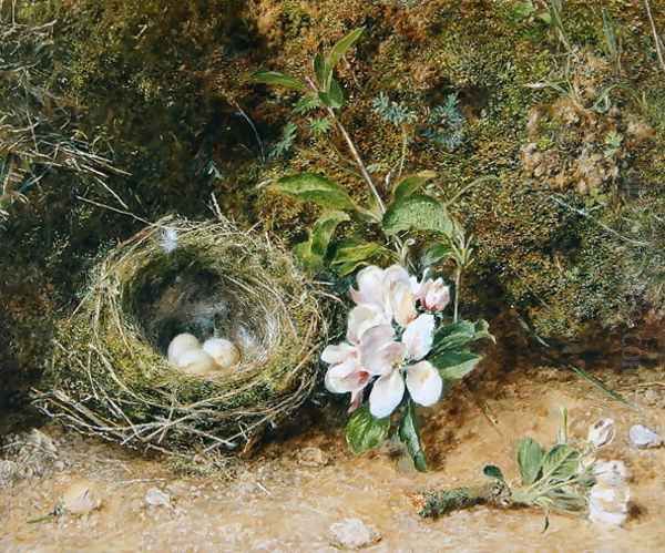 Birds Nest with Sprays of Apple Blossoms Oil Painting by William Henry Hunt